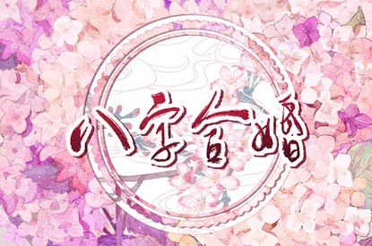 命主命盘测算|询命盘|胎元命宫八字排盘|占星命盘详解