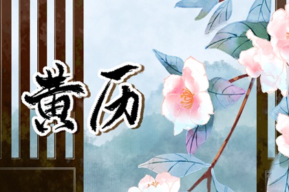 命主命盘测算|询命盘|胎元命宫八字排盘|占星命盘详解
