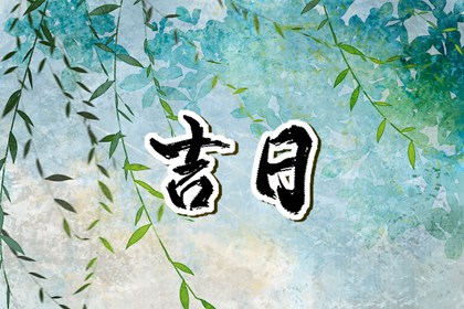 今日九星怎么读